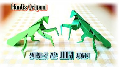 사마귀 종이 접기, 색종이 사마귀 종이 접는 방법