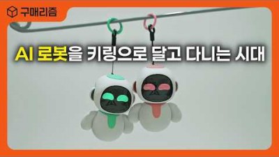 반려 로봇 키링 로봇 AI 로봇 정보, 반려 로봇 키링 로봇 사용법 기능 정보