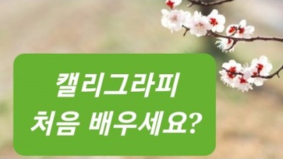 캘리그라피 기초, 캘리그라피 왕초보, 캘리그라피 준비물, 붓잡는법, 선긋는법, 초보 탈출 영상