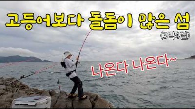 대마도 낚시 포인트 및 조황 정보, 일본 대마도 낚시 가볼만한 곳 정보