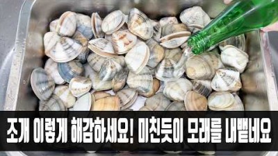 조개 해감 하는 방법 꿀팁, 조개 해감 빨리 하는 법, 조개 술찜 만드는 방법 정보[유튜브- 집나간아들]