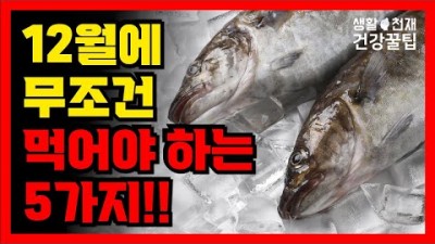 12월에 먹어야 할 제철 음식5가지, 건강을 지키는 겨울 제철음식 추천 정보[생활천재-건강정보]