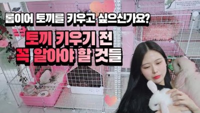 반려 토끼 키우전 알아야 할 지식 정보, 토끼 입양전 알아야 할 것들, 반려 토끼 키우는 방법