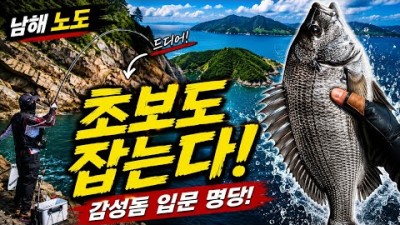 경남 남해 노도 낚시 포인트 및 조황 정보, 노도 낚시 포인트, 채비, 미끼 조과 정보