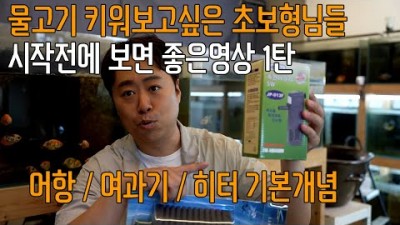 물고기 키우기 입문자편 어항선택 구매법, 여과기, 히터 필요 이유 및 선택 방법 정보[수족관 장씨]