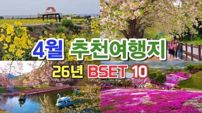 봄 꽃 여행지 가볼만한 곳, 4월 갈만한 여행지, 꽃 잔디 명소, 벚꽃명소, 유채꽃 축제 가볼만한 곳 추천 정보