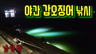 갑오징어 야간 방파제 낚시, 충남 홍성 남당항 갑오징어, 쭈꾸미 낚시 채비 및 조항 정보