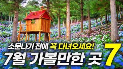 국내 여름 여행 가볼만한 곳, 7,8월 여름 여행 갈만한 곳 추천 정보, 국내 여름 축제 여행지 추천 정보