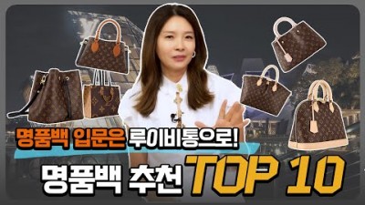 루이비통 200만~300만 명품백 입문백 탑10 추천, 4060 첫 명품백 200만~300만 명품백 실패없는 입문백 추천 정보[지완]