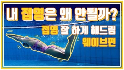 수영 배우기 접영기초 웨이브 기초 자세 배우기, 입수 부터 출수 까지 접영 잘하는 방법 정보[더포스 수영]